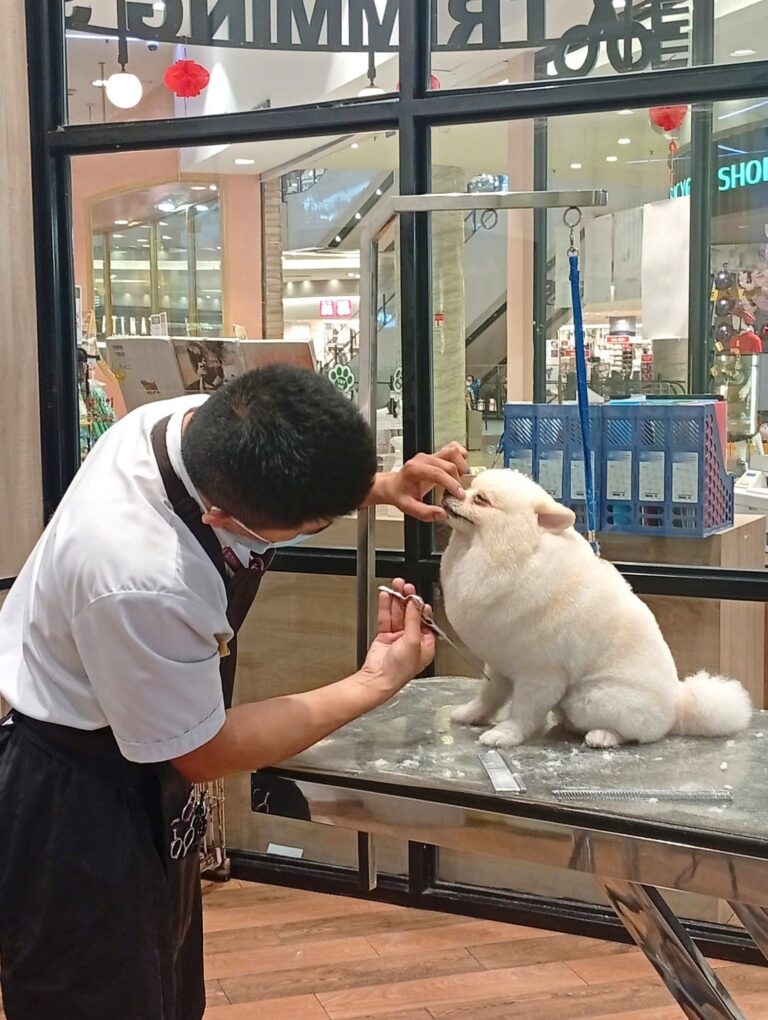 Petemo – Japan’s Pet Lifestyle Destination