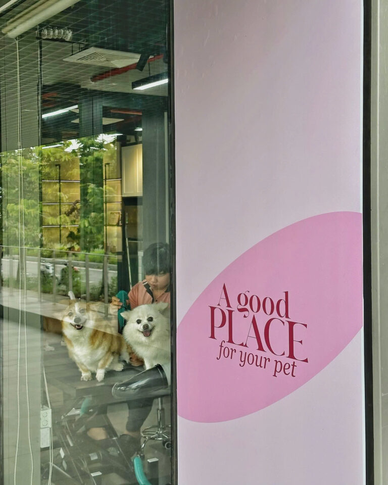 Pet Ơi – Trusted Care, Happy Pets