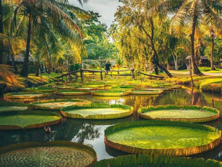 Van Thanh Park – Urban Green Escape